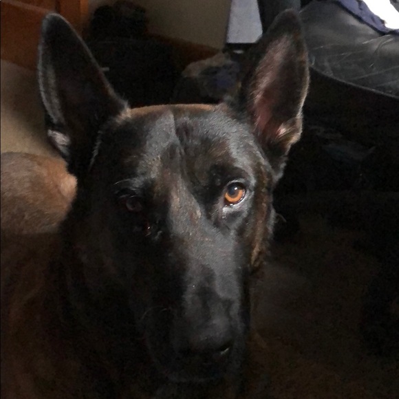 Meet your Posher, Tim - Picture 1 of 1